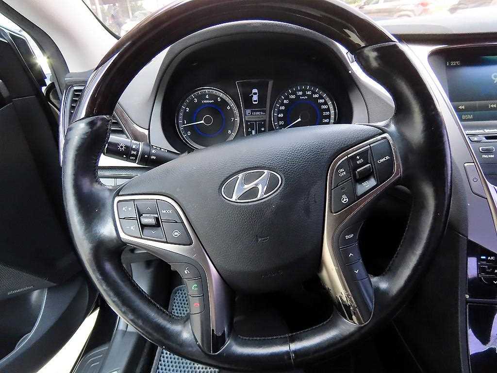 HYUNDAI Grandeur - Vista 8