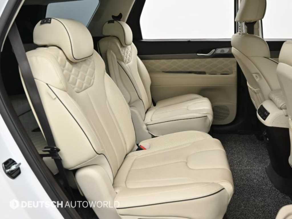 HYUNDAI Palisade - Vista 12