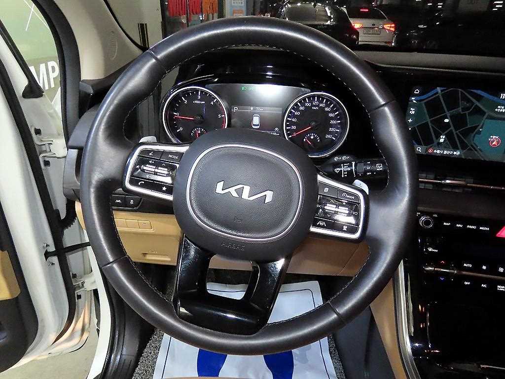 KIA Carnival - Vista 8