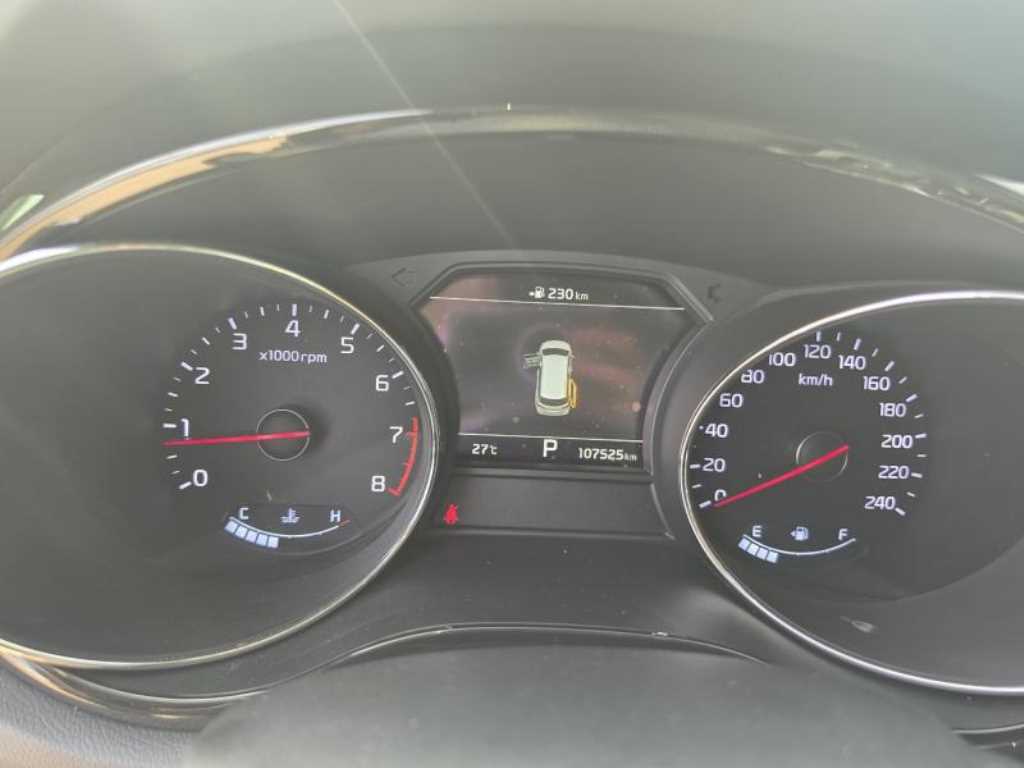 KIA Carnival - Vista 4