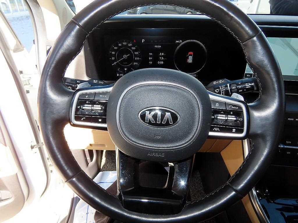 KIA Carnival - Vista 9