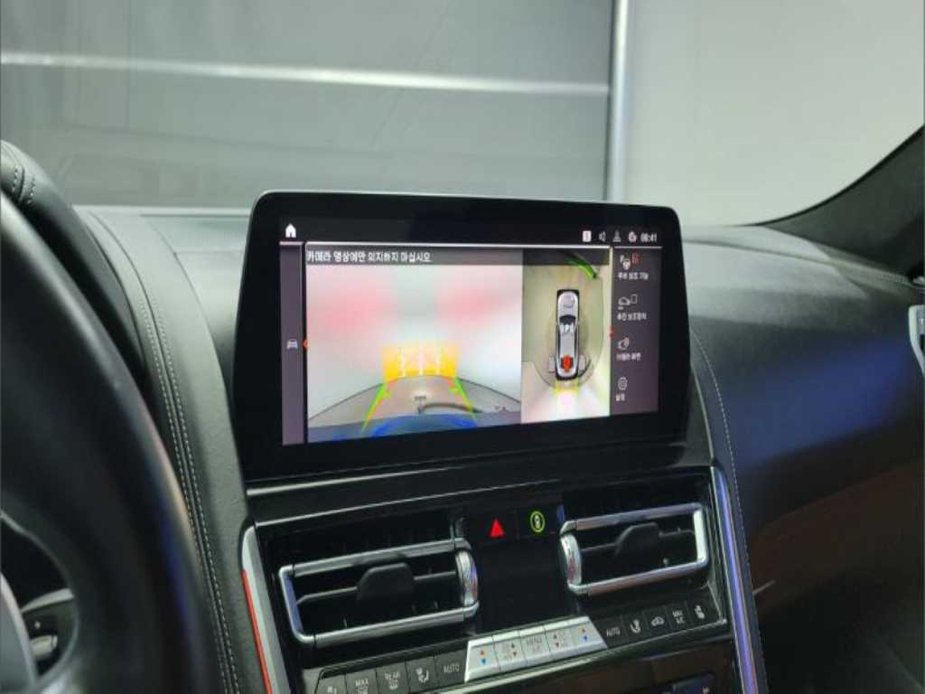 BMW 8 Series - Vista 11