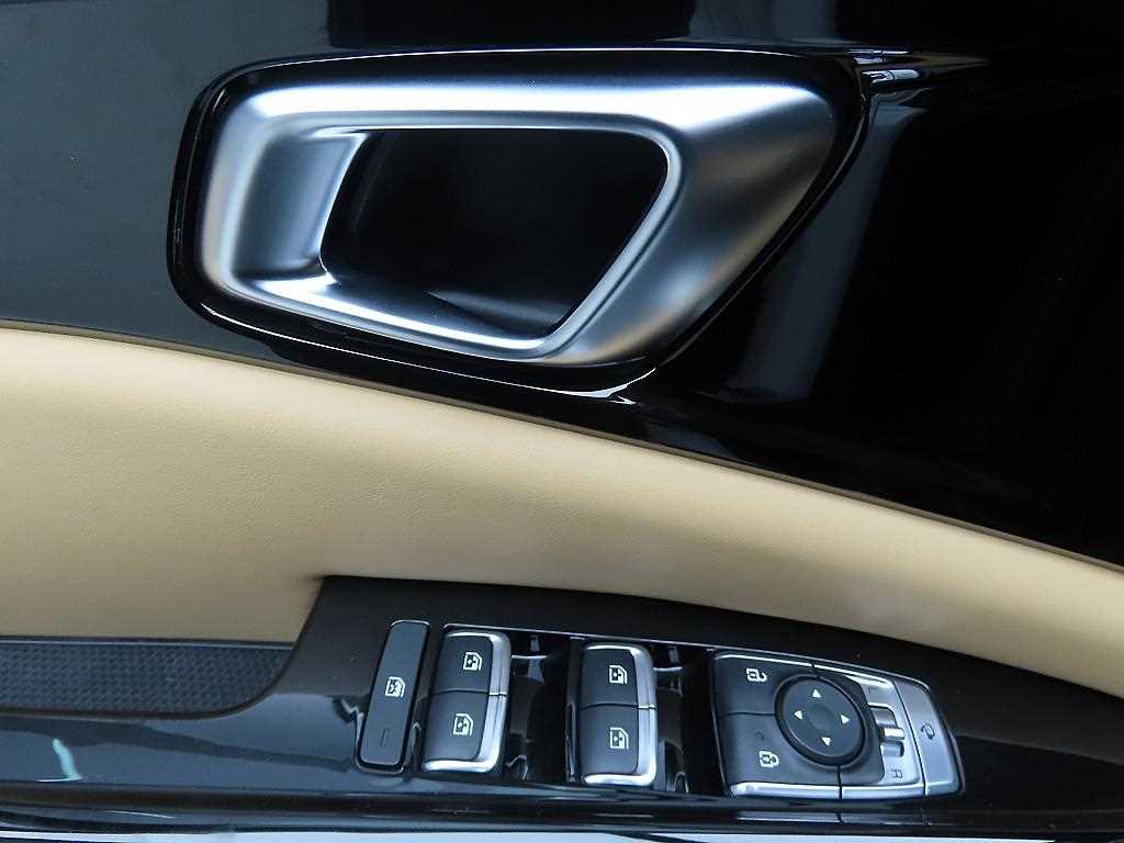 KIA Carnival - Vista 11