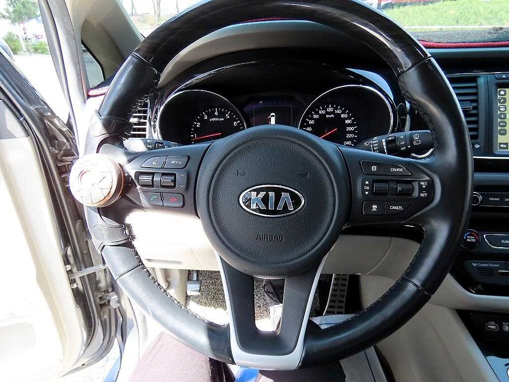 KIA Carnival - Vista 9