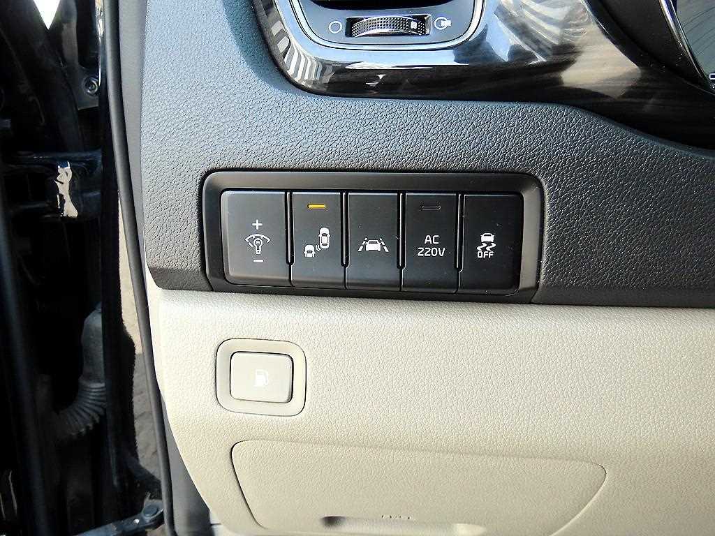 KIA Carnival - Vista 12