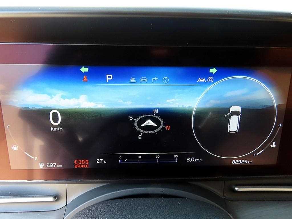 KIA Carnival - Vista 8