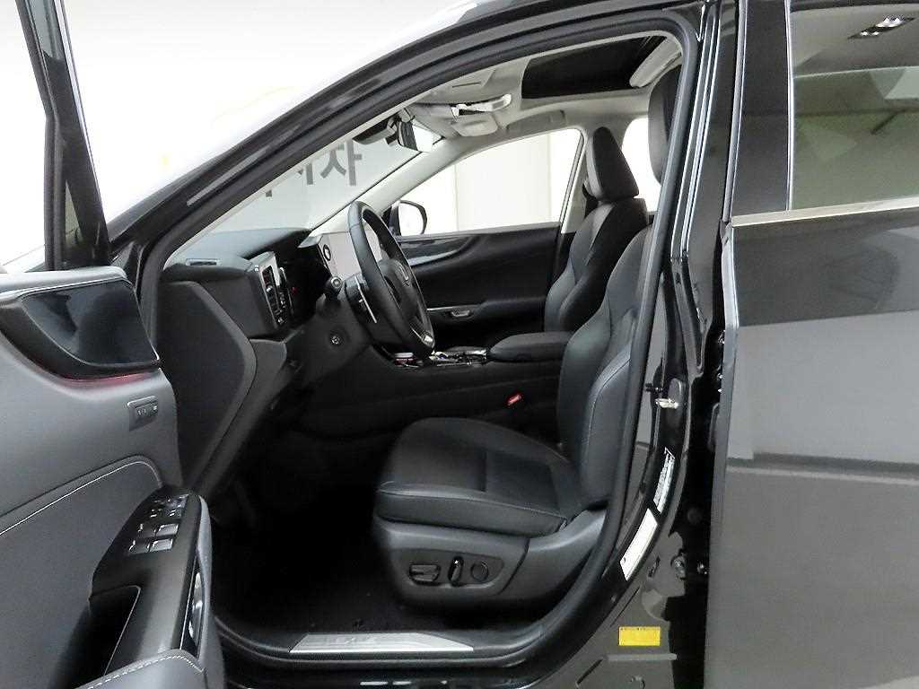 Lexus NX - Vista 12