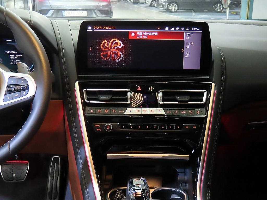 BMW 8 Series - Vista 11