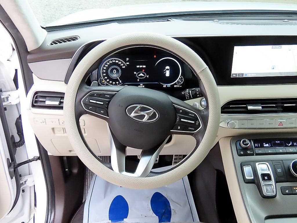 HYUNDAI Palisade - Vista 8
