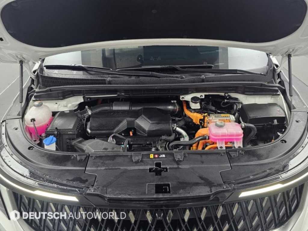 KIA Carnival - Vista 6