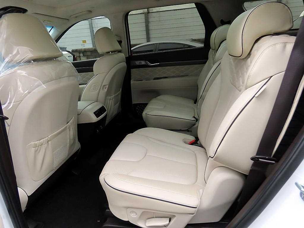 HYUNDAI Palisade - Vista 6