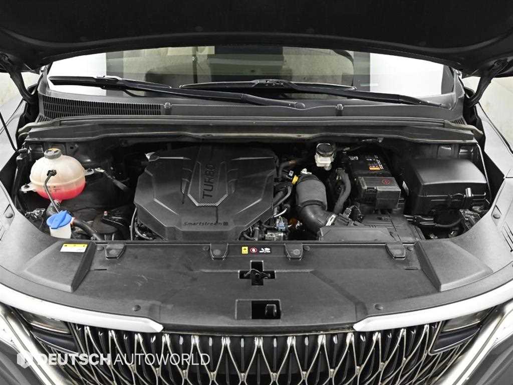 KIA Carnival - Vista 6