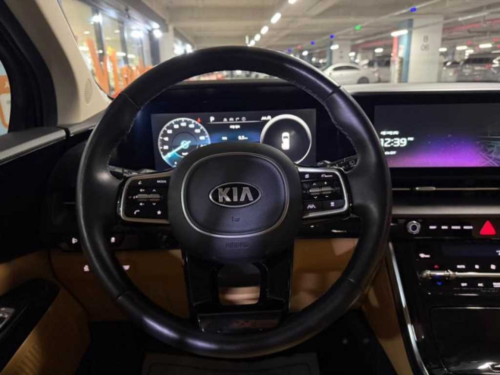 KIA Carnival - Vista 8