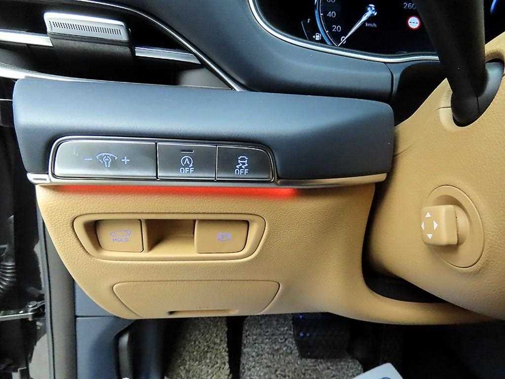 Genesis GV80 - Vista 12