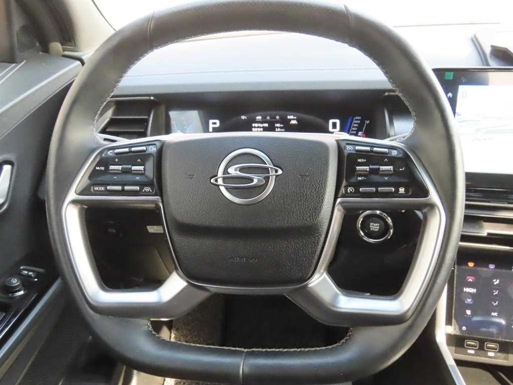 Ssangyong Torres - Vista 11