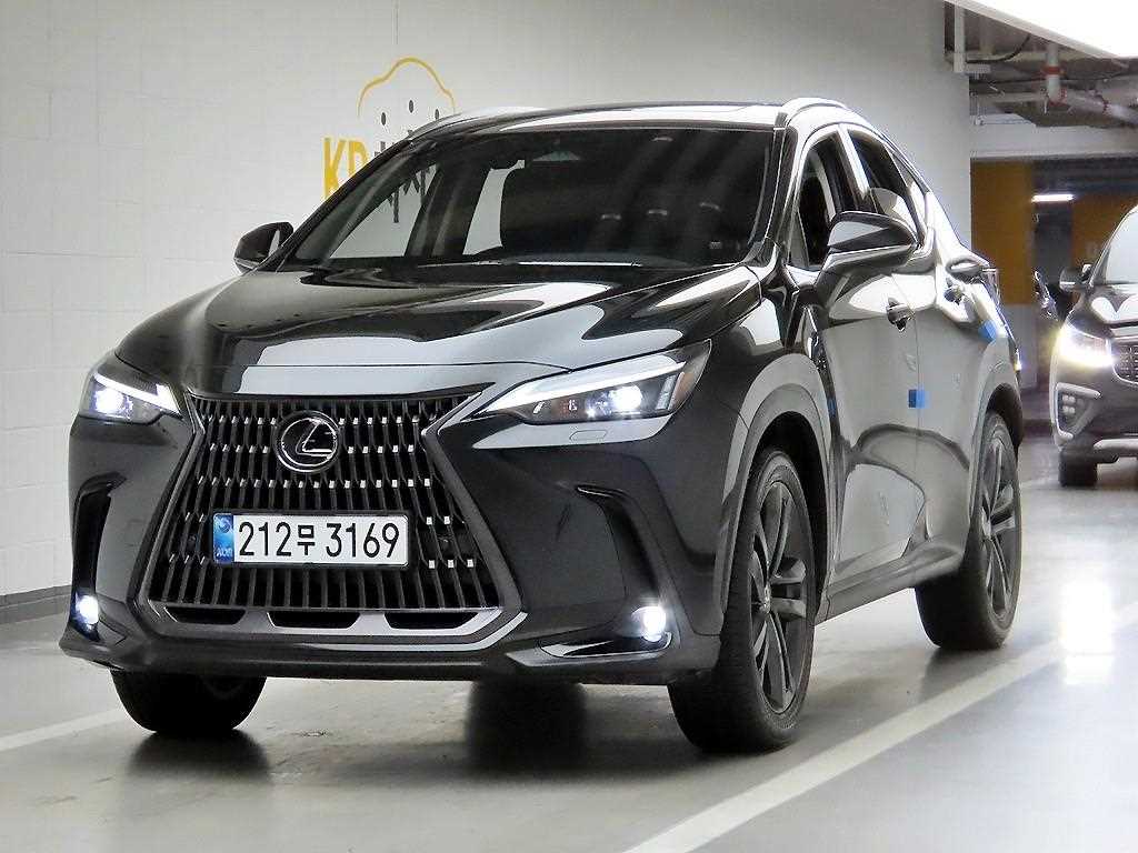 Lexus NX - Vista 2
