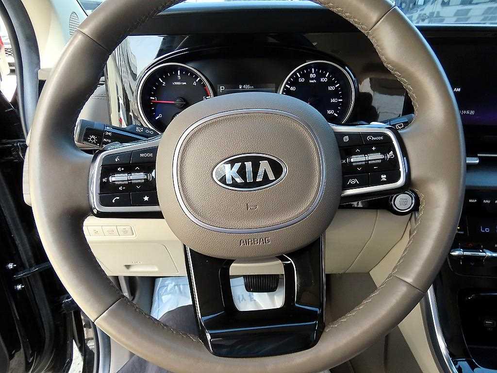 KIA Carnival - Vista 9