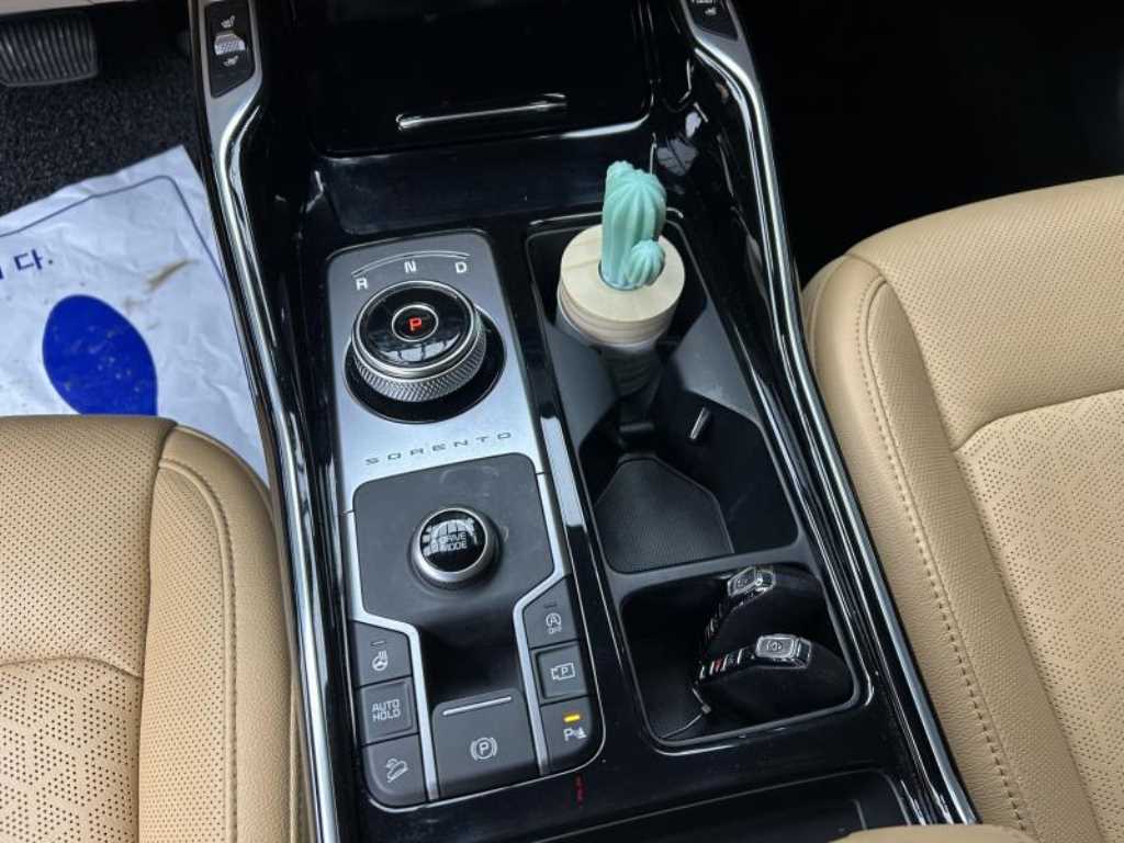 KIA Sorento - Vista 11