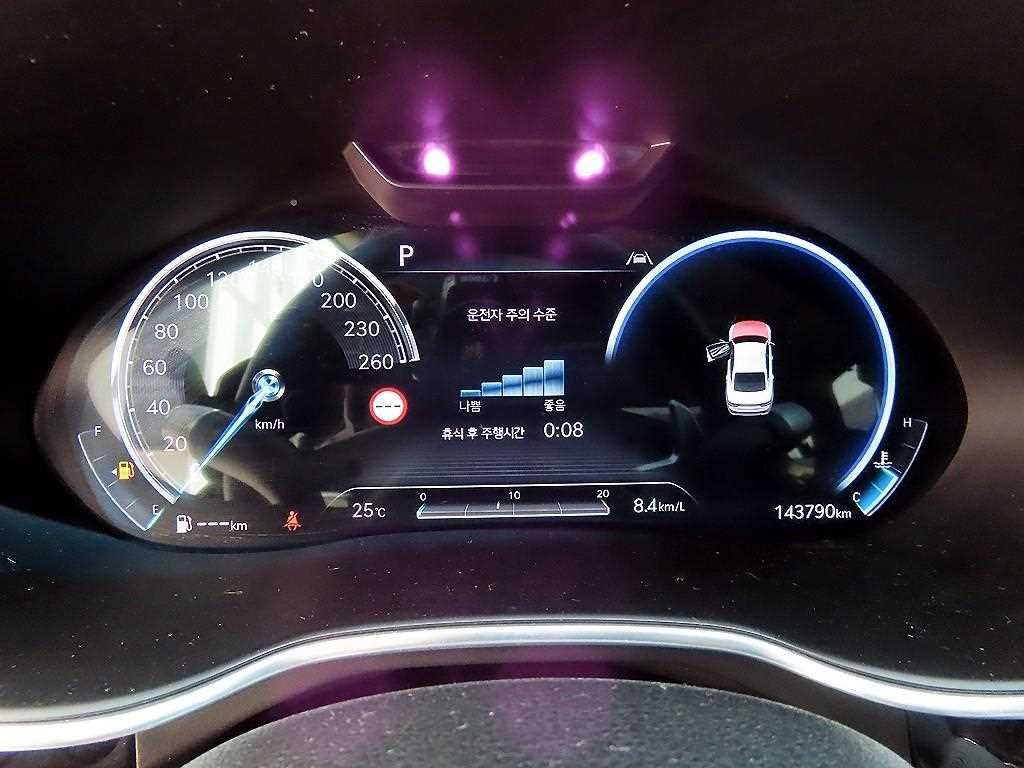 Genesis G80 - Vista 9