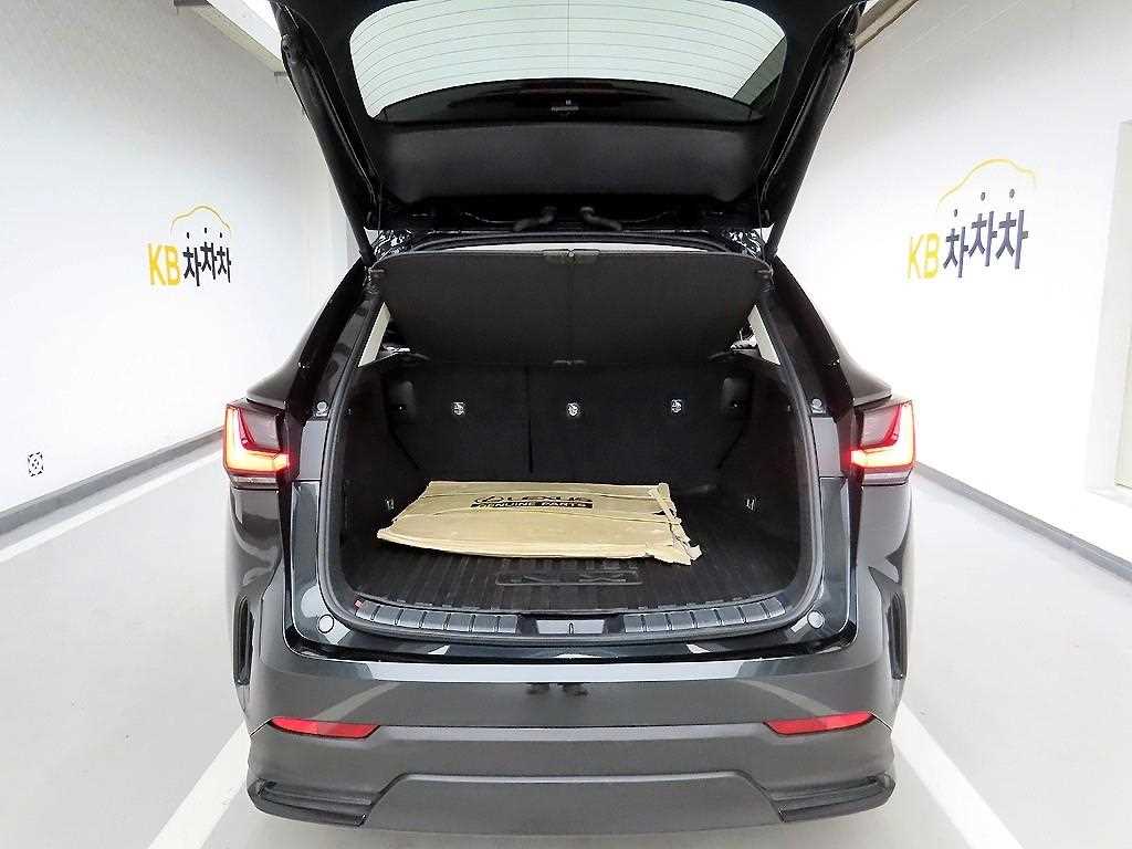 Lexus NX - Vista 5