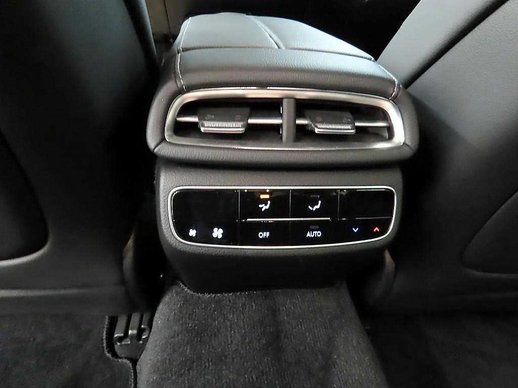 Genesis G80 - Vista 12