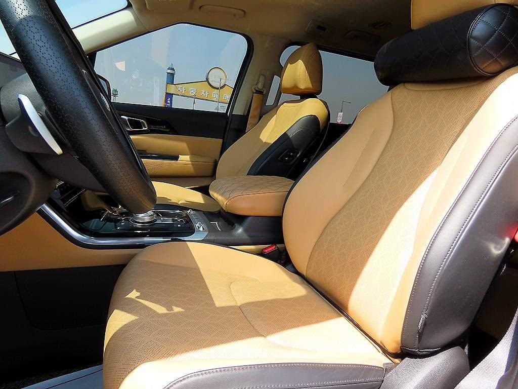 KIA Carnival - Vista 5