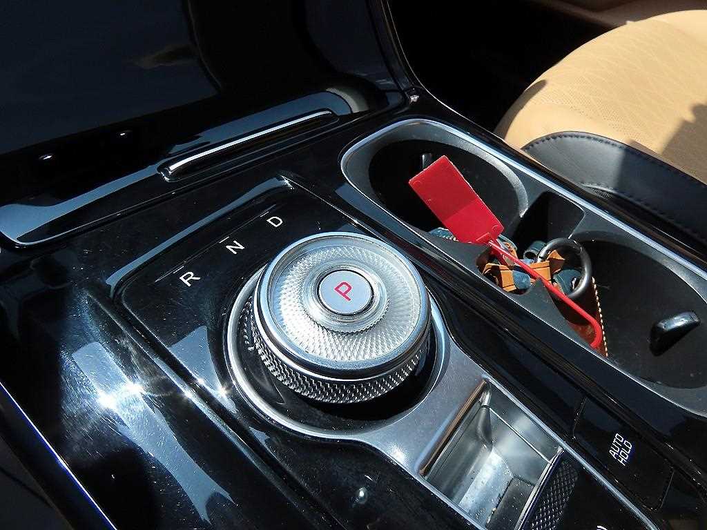 KIA Carnival - Vista 11