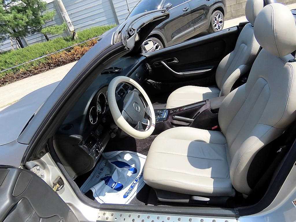 Mercedes Benz SLK Class - Vista 10