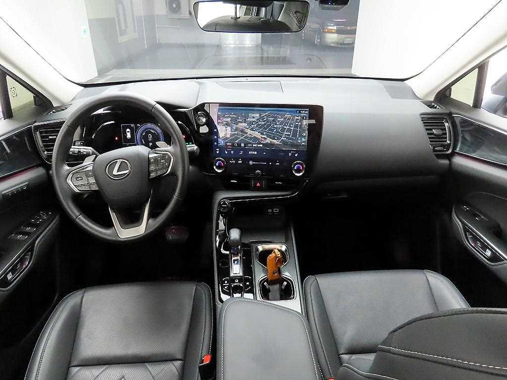 Lexus NX - Vista 8
