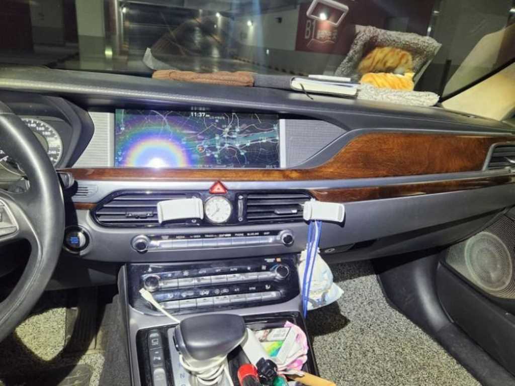 Genesis EQ900 - Vista 8