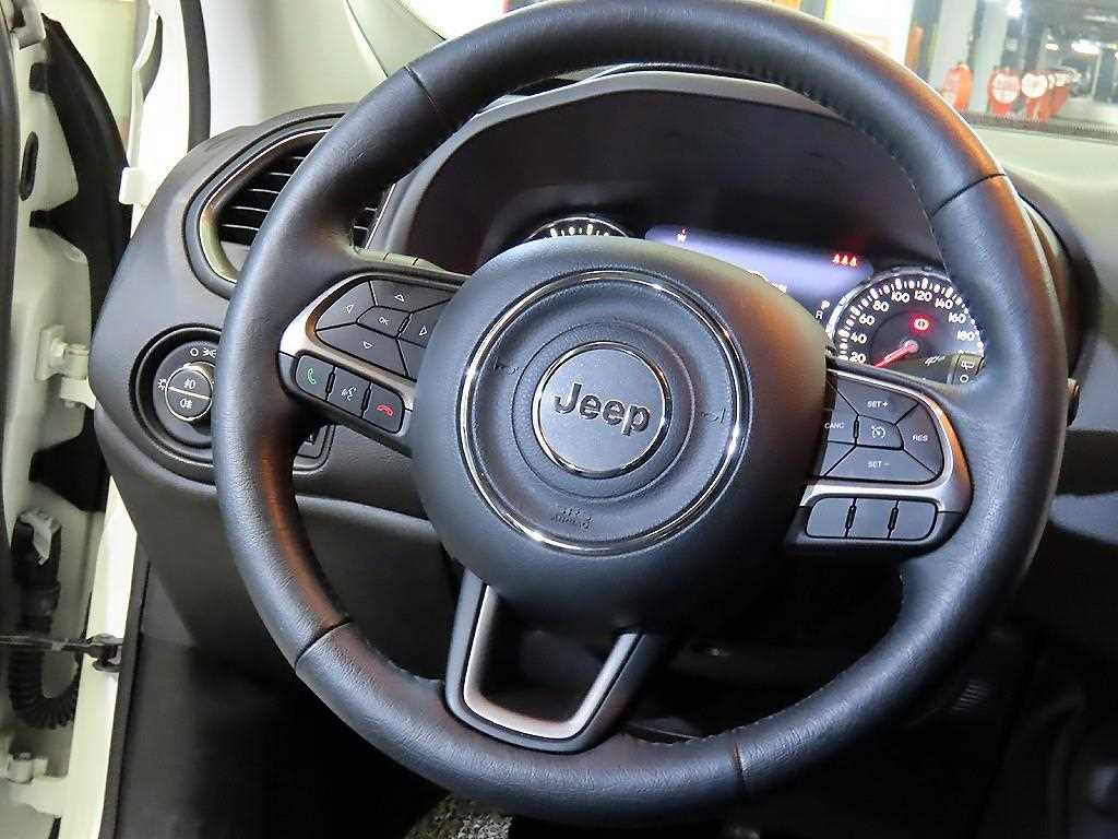 Jeep Renegade - Vista 8