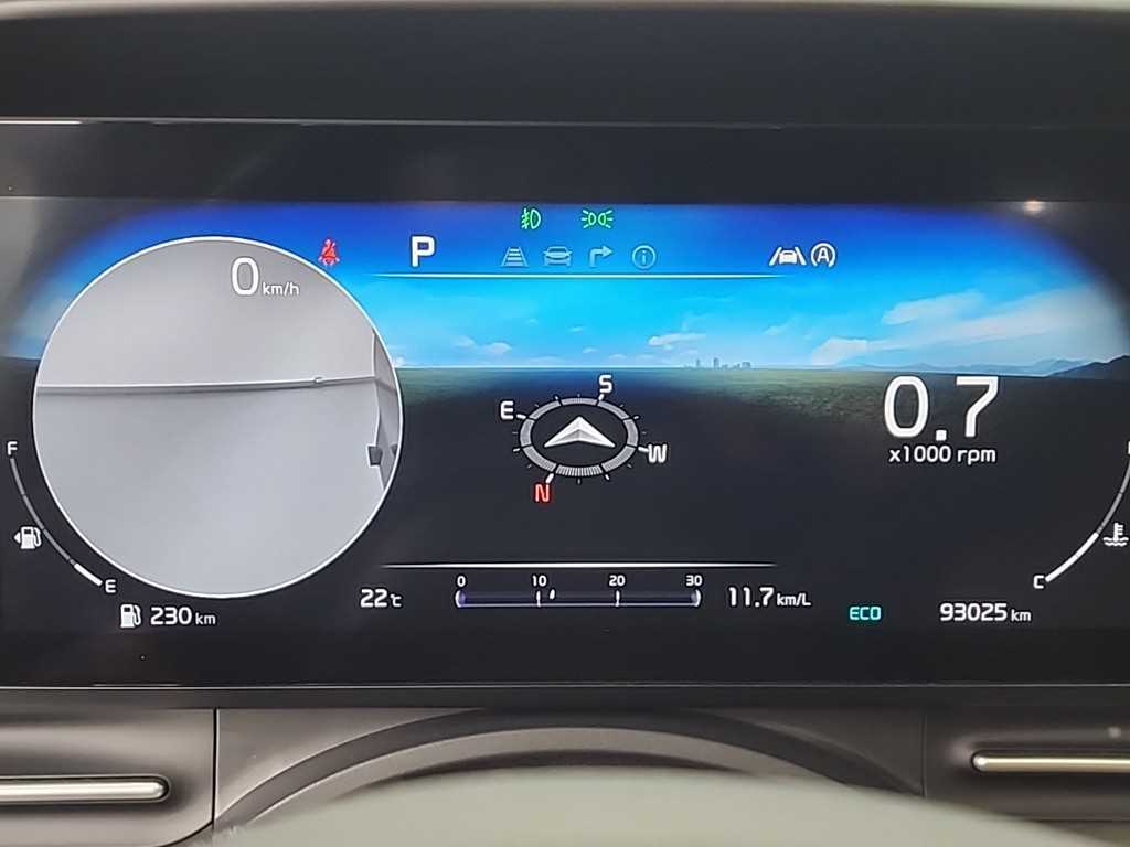 KIA Carnival - Vista 6