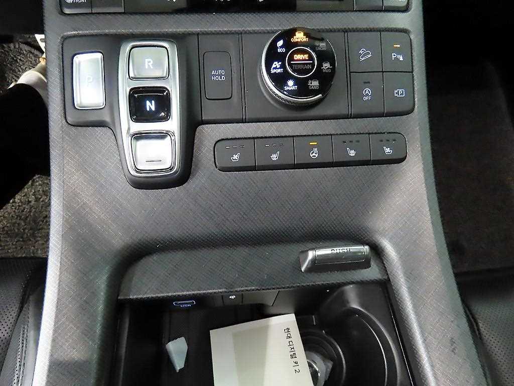 HYUNDAI Palisade - Vista 10