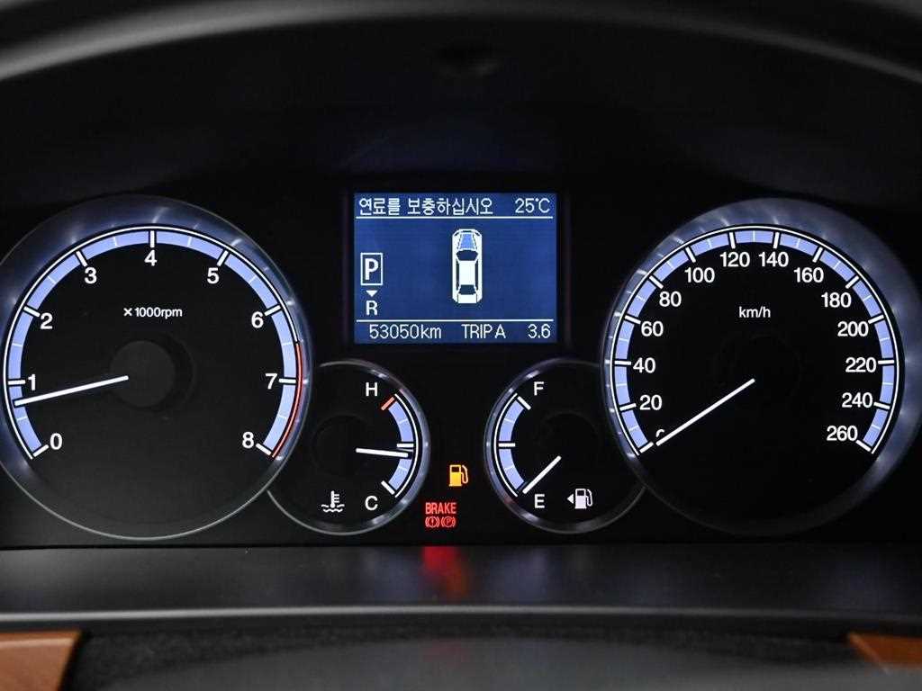 Ssangyong Chairman - Vista 8