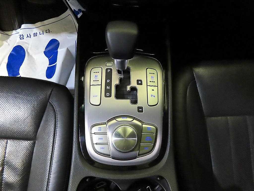 HYUNDAI Genesis - Vista 12