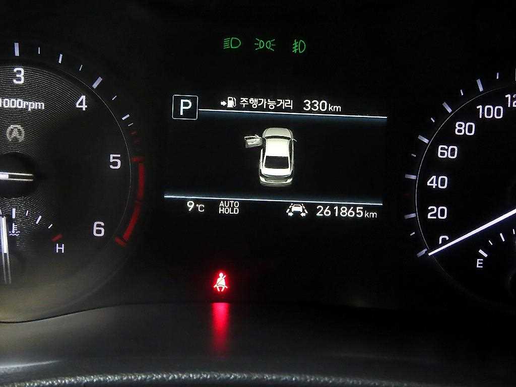 Genesis G80 - Vista 9