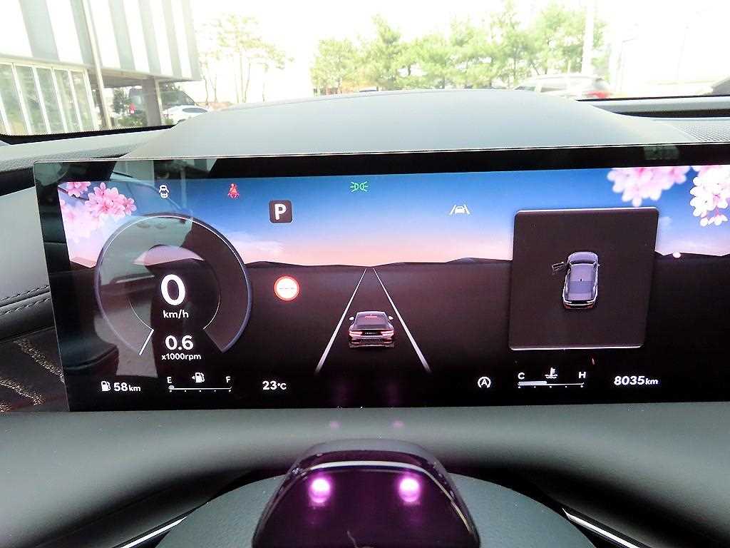 Genesis G80 - Vista 9