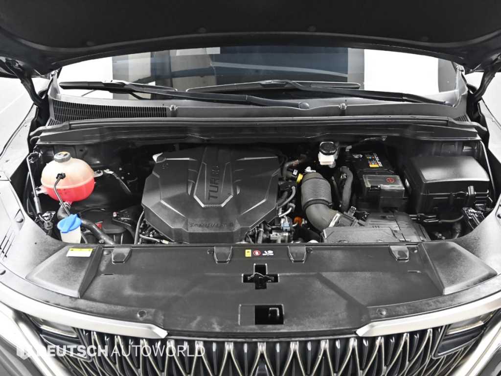 KIA Carnival - Vista 6