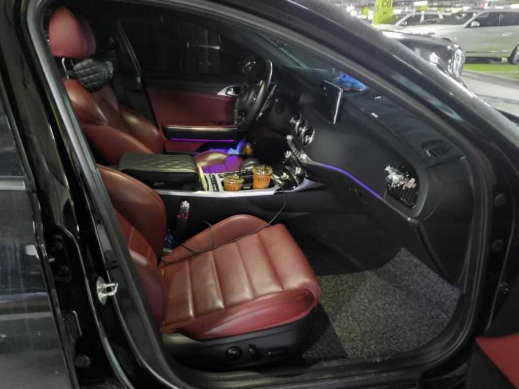 KIA Stinger - Vista 8