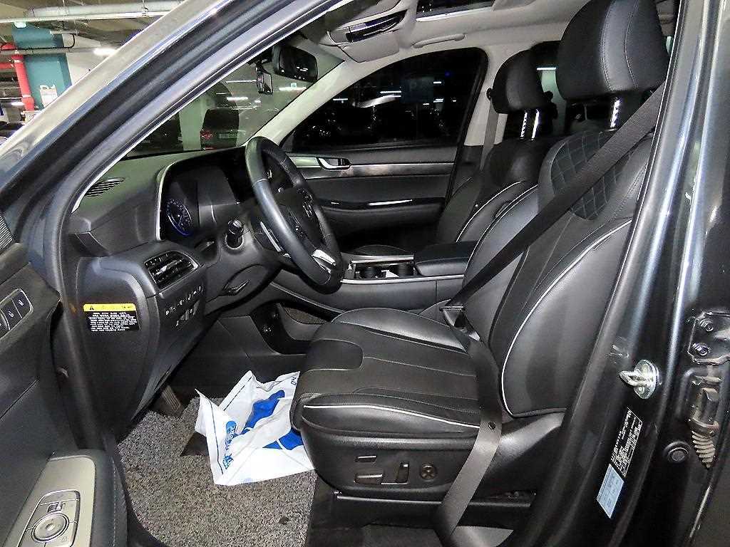 HYUNDAI Palisade - Vista 6