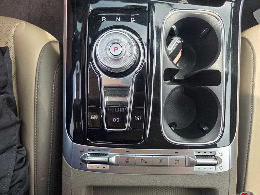 KIA Carnival - Vista 8