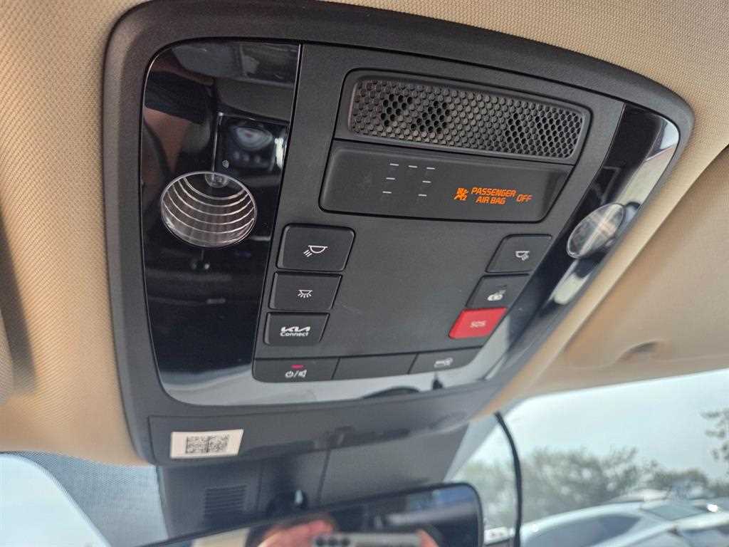 KIA Carnival - Vista 9