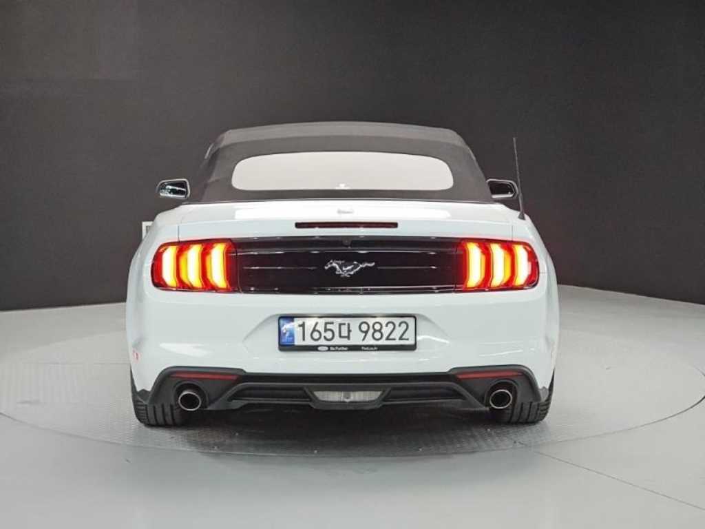 Ford Mustang - Vista 4