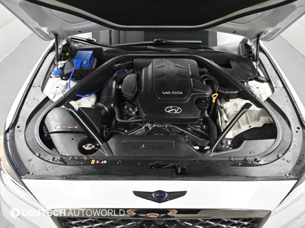 HYUNDAI Genesis - Vista 6