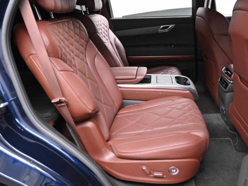 Genesis GV80 - Vista 12