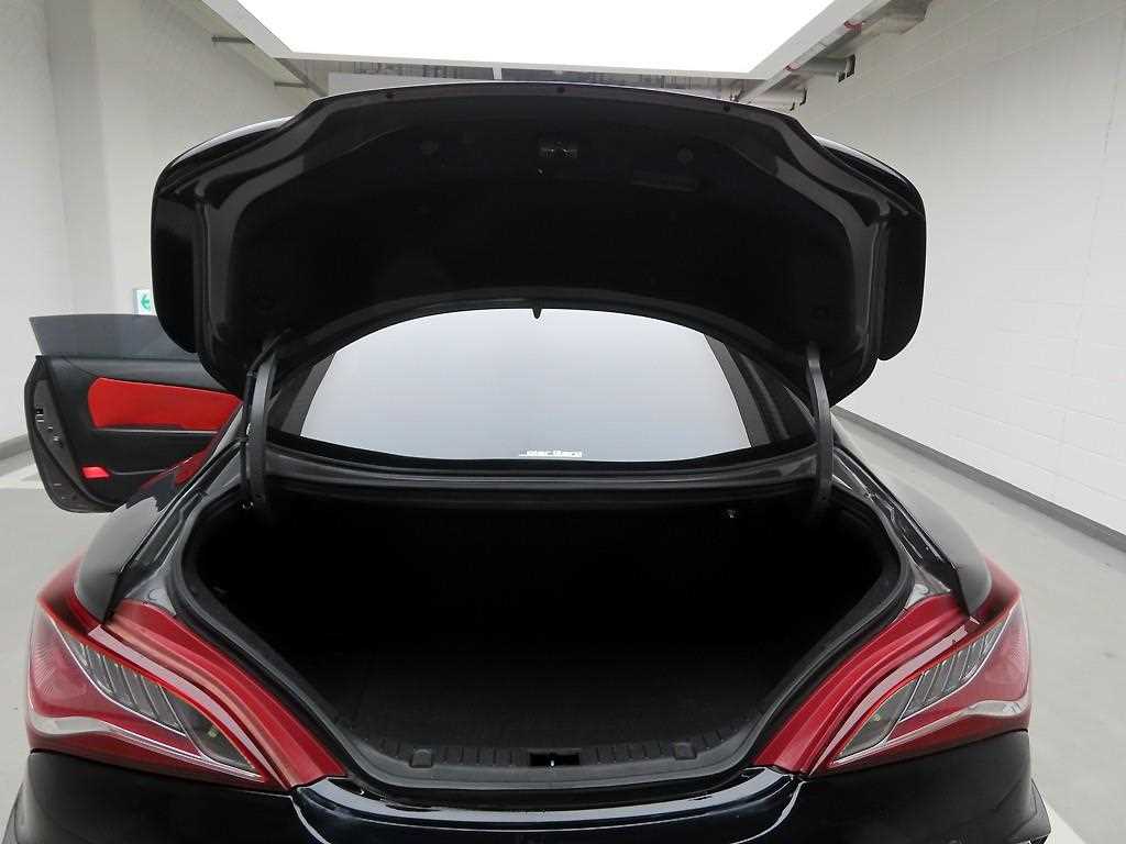 HYUNDAI Genesis - Vista 5