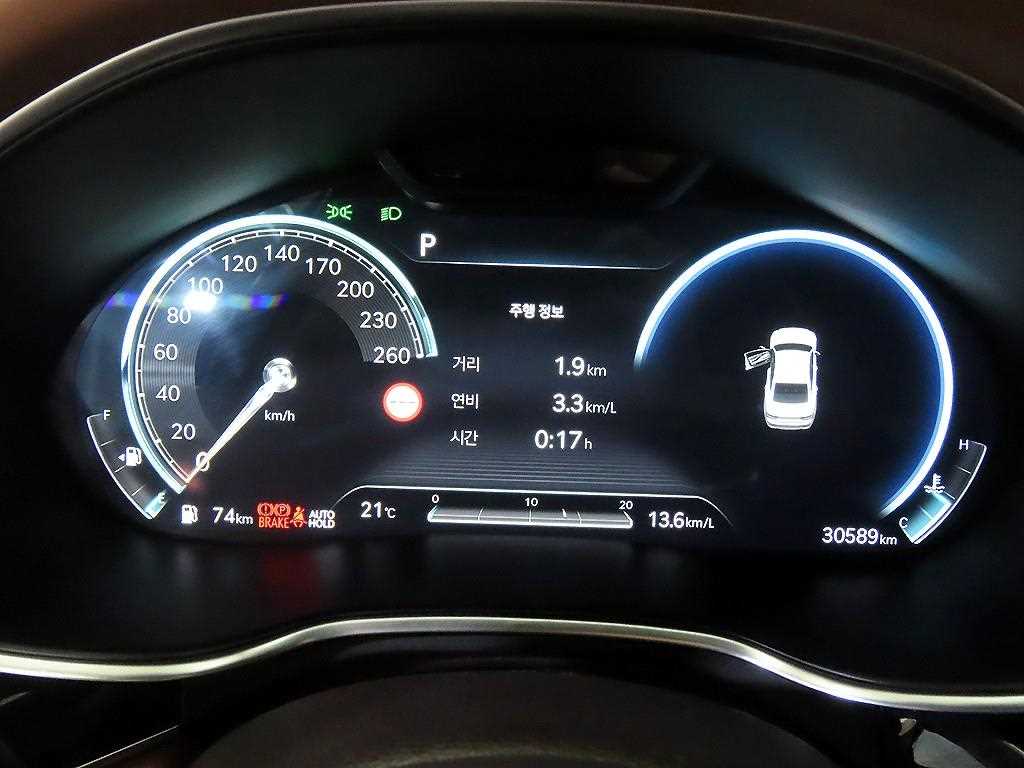 Genesis G80 - Vista 9