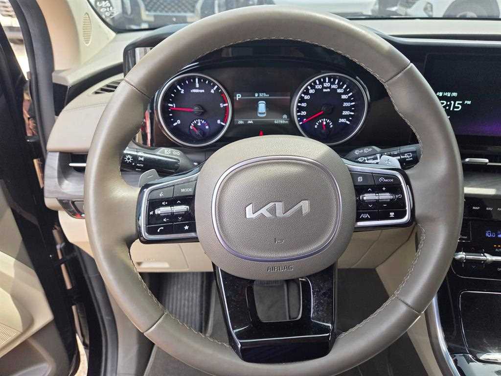 KIA Carnival - Vista 3