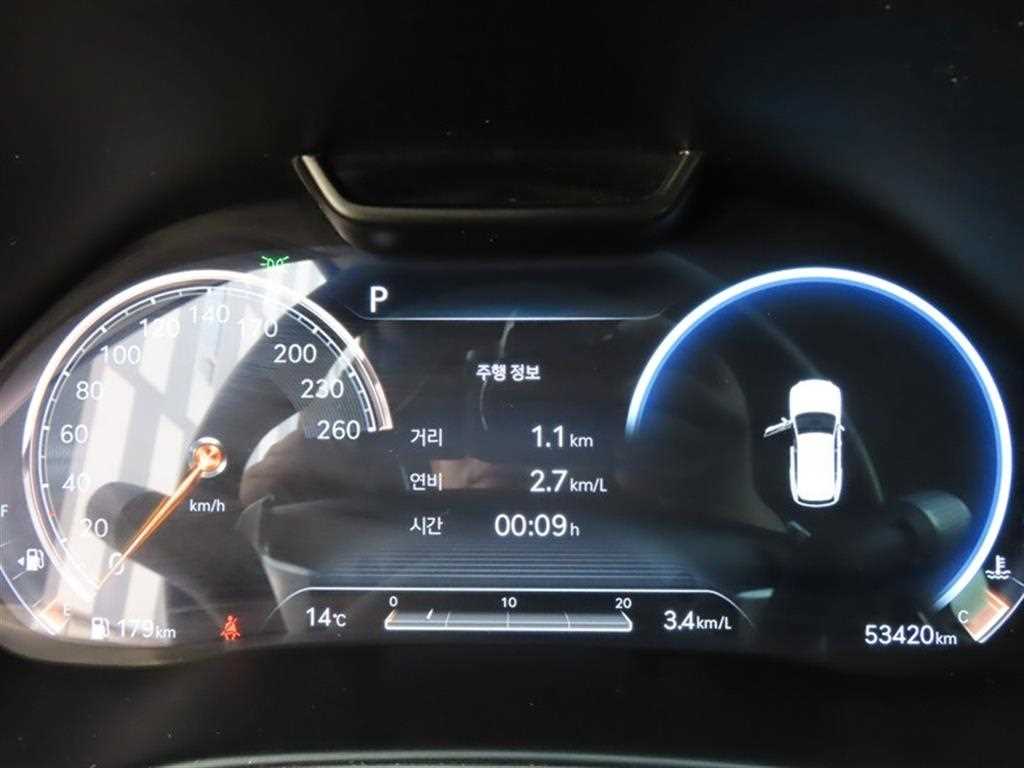 Genesis GV80 - Vista 12