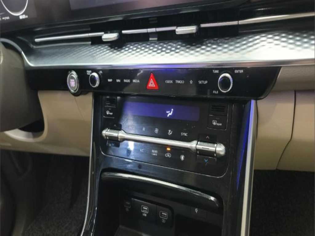 KIA Carnival - Vista 12